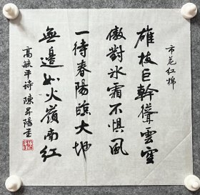 陈升阳老师手写书法小斗方 高毓平诗《市花红棉》 34.7x34cm