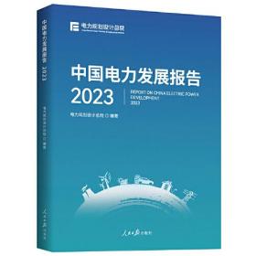 中国电力发展报告2023