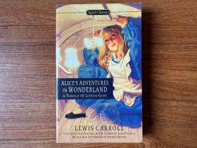 英文原版 Alice's Adventures in Wonderland  Through the Looking Glass 爱丽丝漫游奇境 爱丽丝镜中奇遇记
