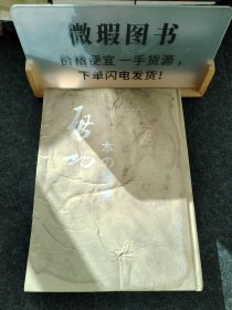 启功画集