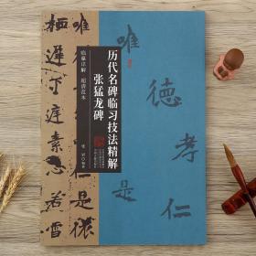 历代名碑临习技法精解 张猛龙碑