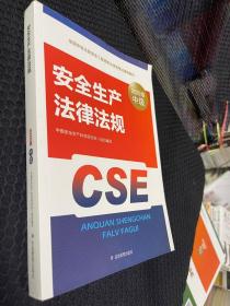 注册安全工程师2020安全生产法律法规应急管理出版社全国中级注册安全工程师职业资格考试辅导教材