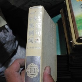 中学生英汉例句词典