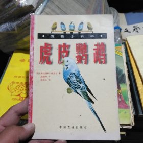 虎皮鹦鹉