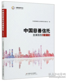 中国慈善信托发展报告（2019）