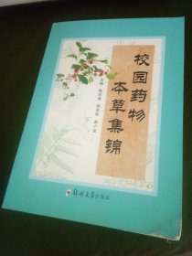 校园药物本草集锦