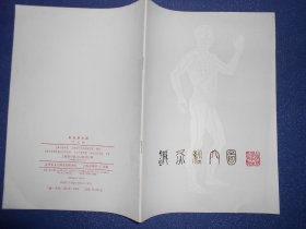 针灸经穴图（中文版说明书）