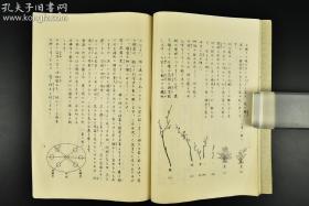 古流盛花教本 (日文原版,民国)