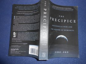 THE PRECIPICE