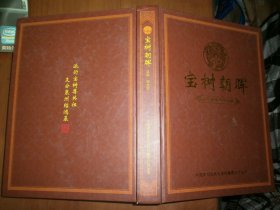 宝树朝晖：泉州谢氏宗祠文化（）