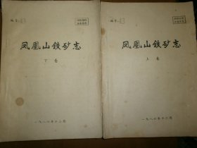 南京凤凰山铁矿志（1956-1985）（上下）