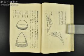 古流盛花教本 (日文原版,民国)