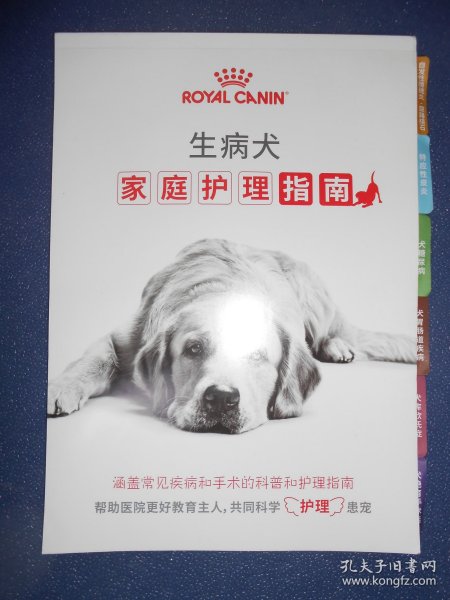 生病犬家庭护理指南