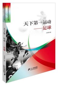 天下第一运动足球