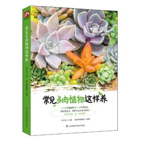 常见多肉植物这样养