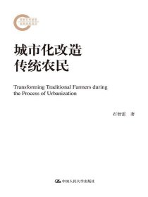 城市化改造传统农民（国家社科基金后期资助项目）