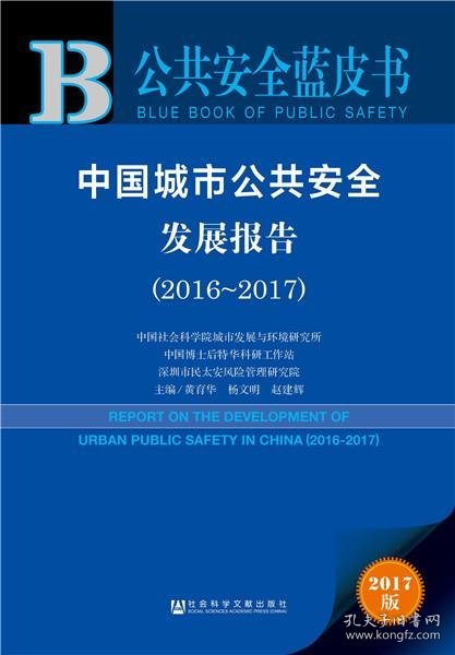 中国城市公共安全发展报告（2016-2017)