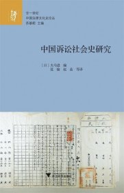 中国诉讼社会史研究