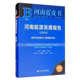 河南蓝皮书：河南能源发展报告2020