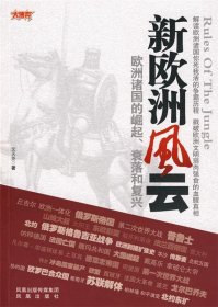 欧洲新战场全传：新欧洲风云（欧洲诸国的崛起、衰落和复兴）