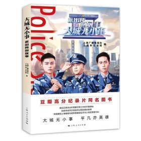 大城无小事--派出所的故事