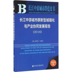 长江中游城市群新型城镇化与产业协同发展报告（2016）