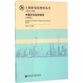 中国文化投资报告