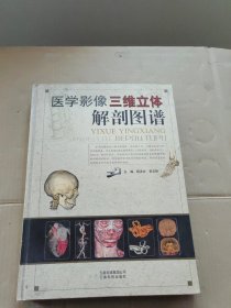 医学影像三维立体解剖图谱