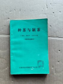 种茶与制茶 茶叶专业教材