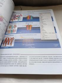 奈特药理学彩色图谱