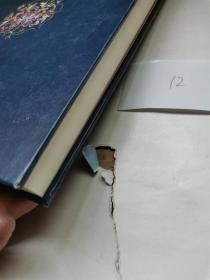 云南文山壮族文献古籍 第九卷【标号12】