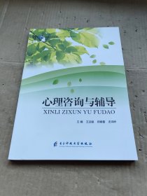 心理咨询与辅导 电子科技大学出版社