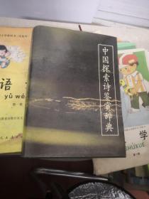 中国探索诗鉴赏词典.