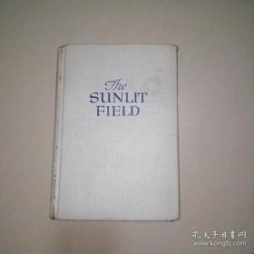 The SUNLIT FIELD（毛边书）