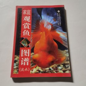 家庭觀賞魚圖譜（淡水）