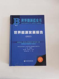 世界能源蓝皮书：世界能源发展报告（2021）