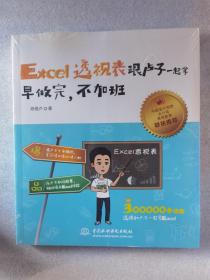 Excel透视表跟卢子一起学  早做完，不加班