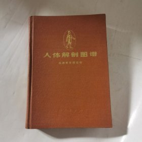 人体解刨图谱