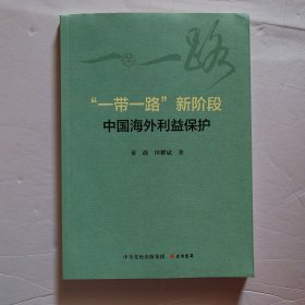 “一带一路”新阶段中国海外利益保护