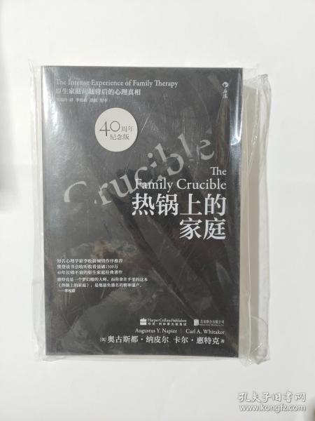 热锅上的家庭：家庭问题背后的心理真相