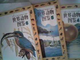 世界动物图鉴（1-3集全10册一套全精装）11公斤