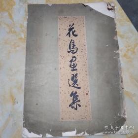 花鸟画选集 品相不怎好 看图片