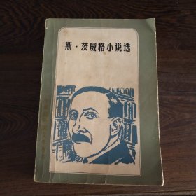 二十世纪外国文学丛书:斯·茨威格小说选