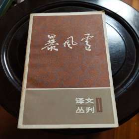 暴风雪 译文丛刊 1