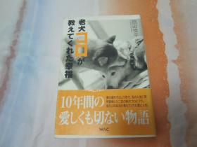 日文原版 老犬コロ教えてくれた幸福