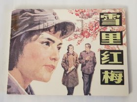 雪里红梅 岭南 岭南美术出版社 64开 平装 随手翻 连环画 小人书 1印 冼励强 库存书 品相如图 按图发书