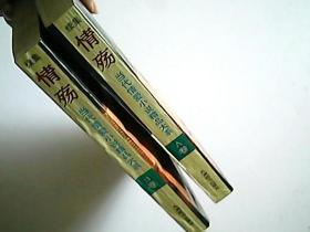 情殇-——当代情爱小说精品大系 续集A卷.B卷合售