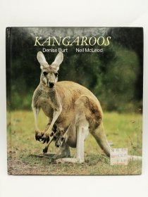 Kangaroos 英文原版 - 《袋鼠（摄影画册）》