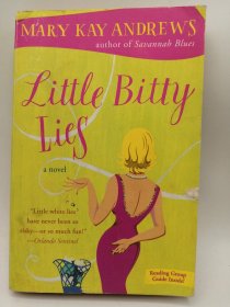 Little Bitty Lies 英文原版-《小谎言》