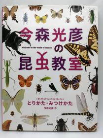 今森光彦の昆虫教室 とりかた・みつけかた 日文原版《今森光彦的昆虫班》